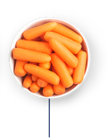 Baby Carrot