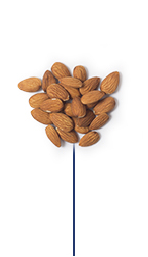 15 mL (1 tbsp) sliced almonds