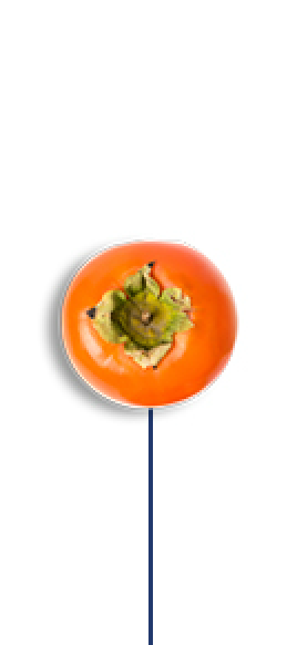 Dinner 2